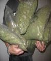 pincha para agrandar